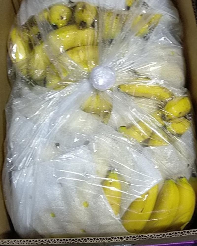 菲律宾进口优质香蕉，口感香糯甜，价格便宜需要提前联系