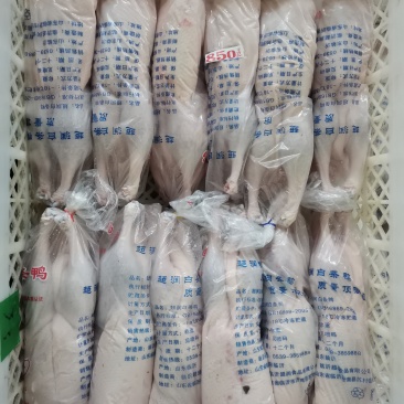 白条鸭