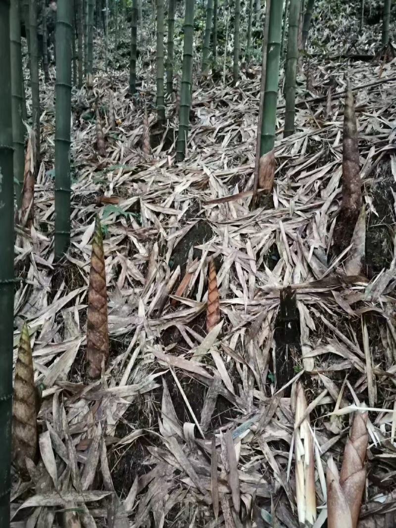 筒筒笋干牛尾笋干庆竹笋干烟熏笋干大竹笋干