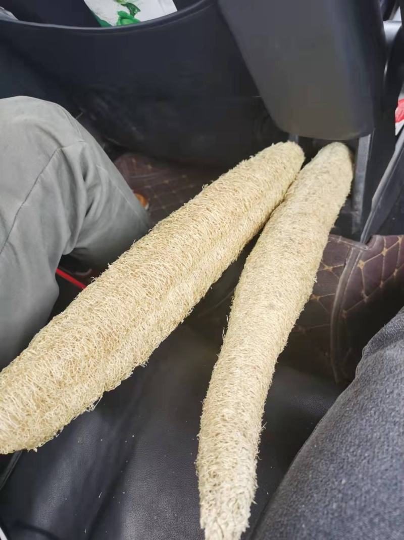 老丝瓜络中药材无硫干丝瓜络切片切丝食用泡茶药用下奶