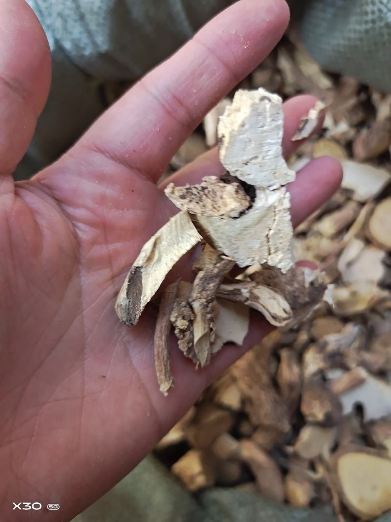 中药材黄花倒水莲倒吊黄新货货源充足