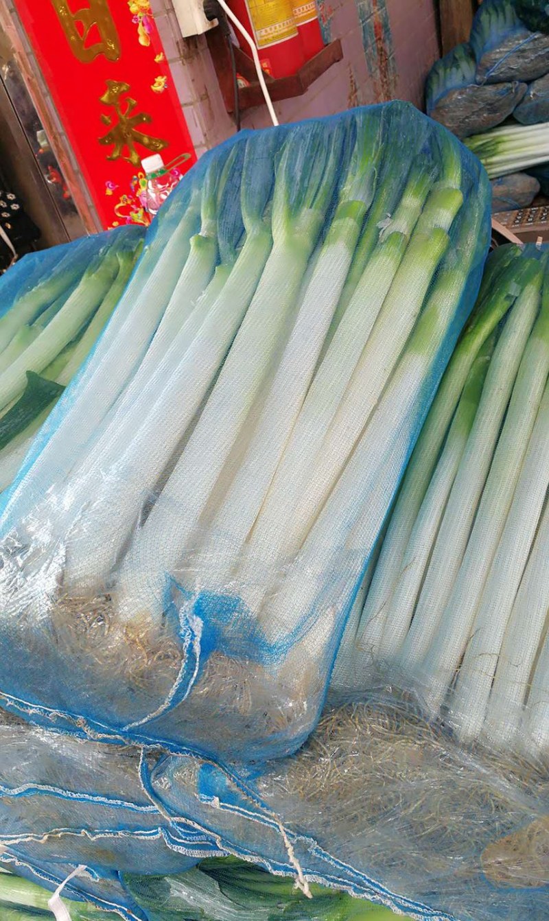 福建大葱，大量上市，欢迎采购商前来下单咨询，产地直发。