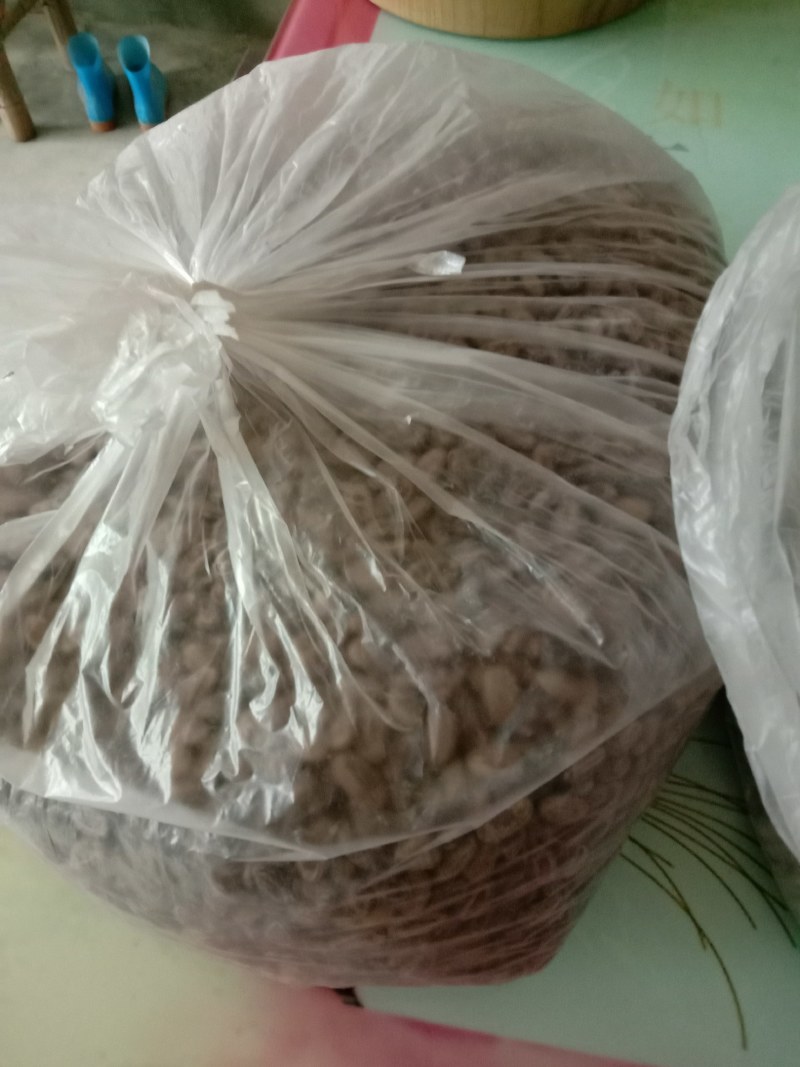 奶油味吊瓜子