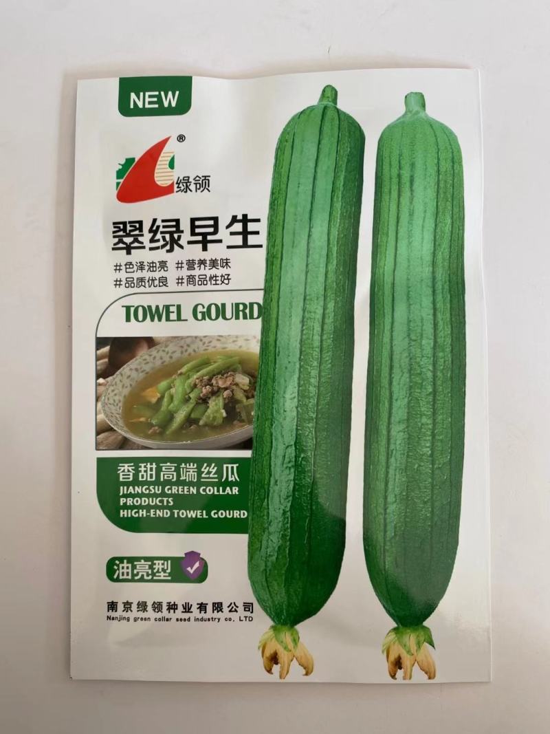 丝瓜种子绿领翠绿早生丝瓜中早熟瓜皮绿色油亮肉厚味浓品质好