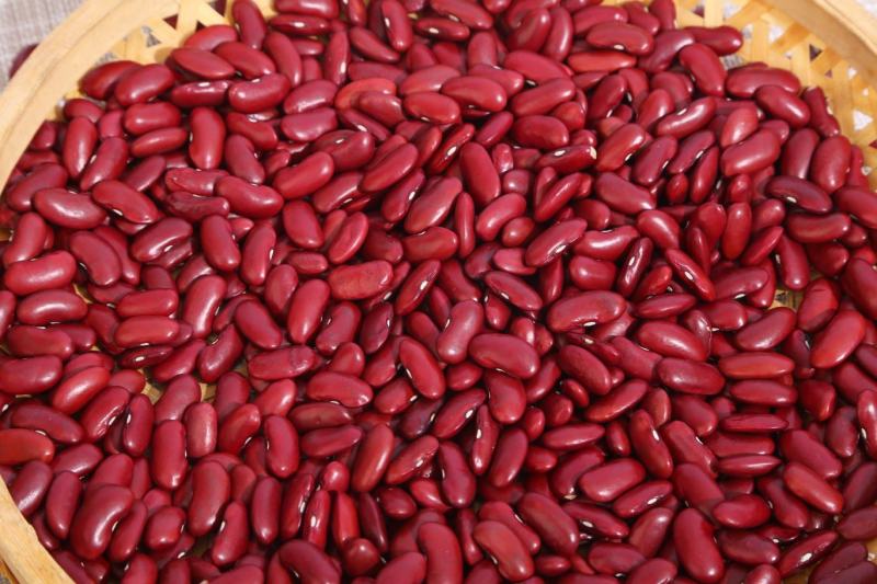 红芸豆现货供应批发新货东北英国红芸豆袋装50斤