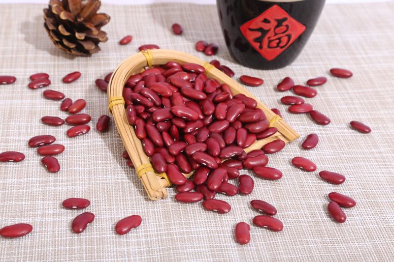 红芸豆现货供应批发新货东北英国红芸豆袋装50斤