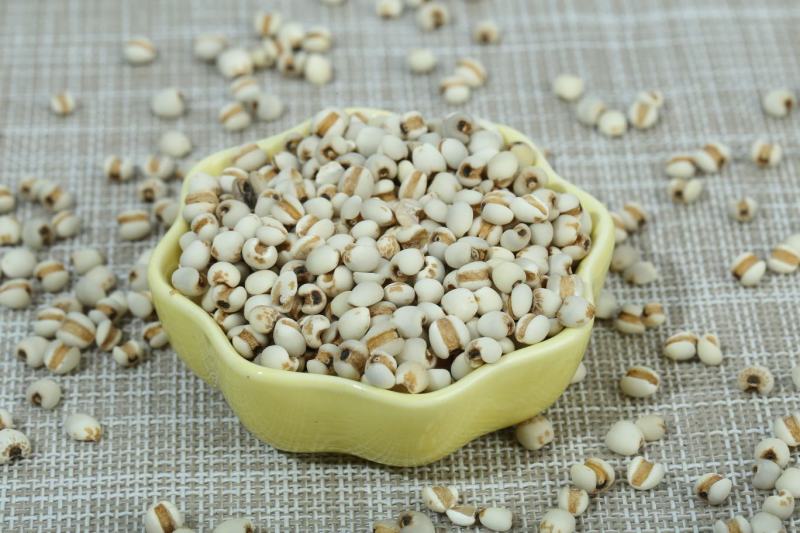 薏仁米现货供应薏仁米大薏米小薏米五谷杂粮袋装50斤