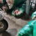 奥其娜圆包菜新野县民富蔬菜种植专业合作社常年批发各种新鲜