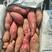 西瓜红红薯大量供应，代收代发。对接超市，电商批发市场。