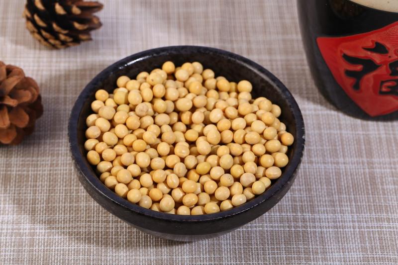 黄豆现货供应批发商品豆豆浆专用豆腐专用新粮大黄豆
