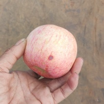 三级次果