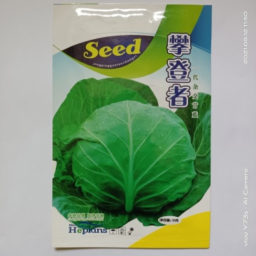 甘蓝种子耐低温春秋种植品种种子大田用种耐裂品种种子