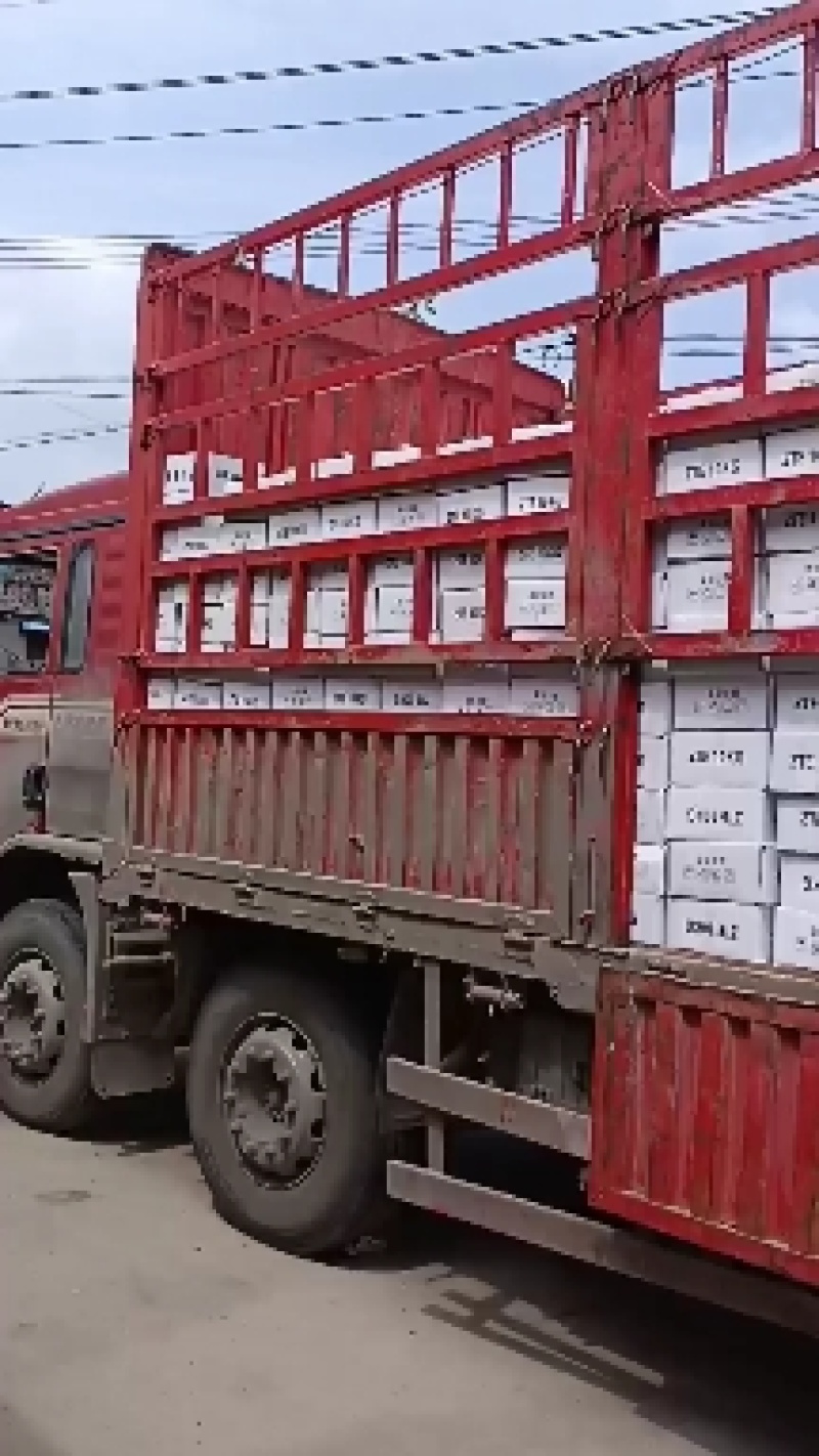 山东厂家老式地瓜干自然晾晒无硫无铅无添加原汁原味有纸箱袋子
