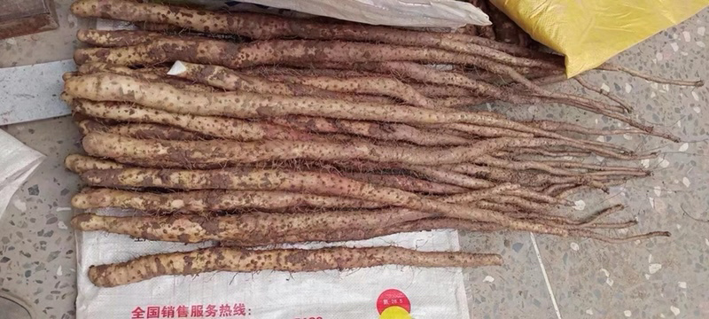 温县铁棍山药70公分，10斤装，礼品盒，找我拿货有礼品