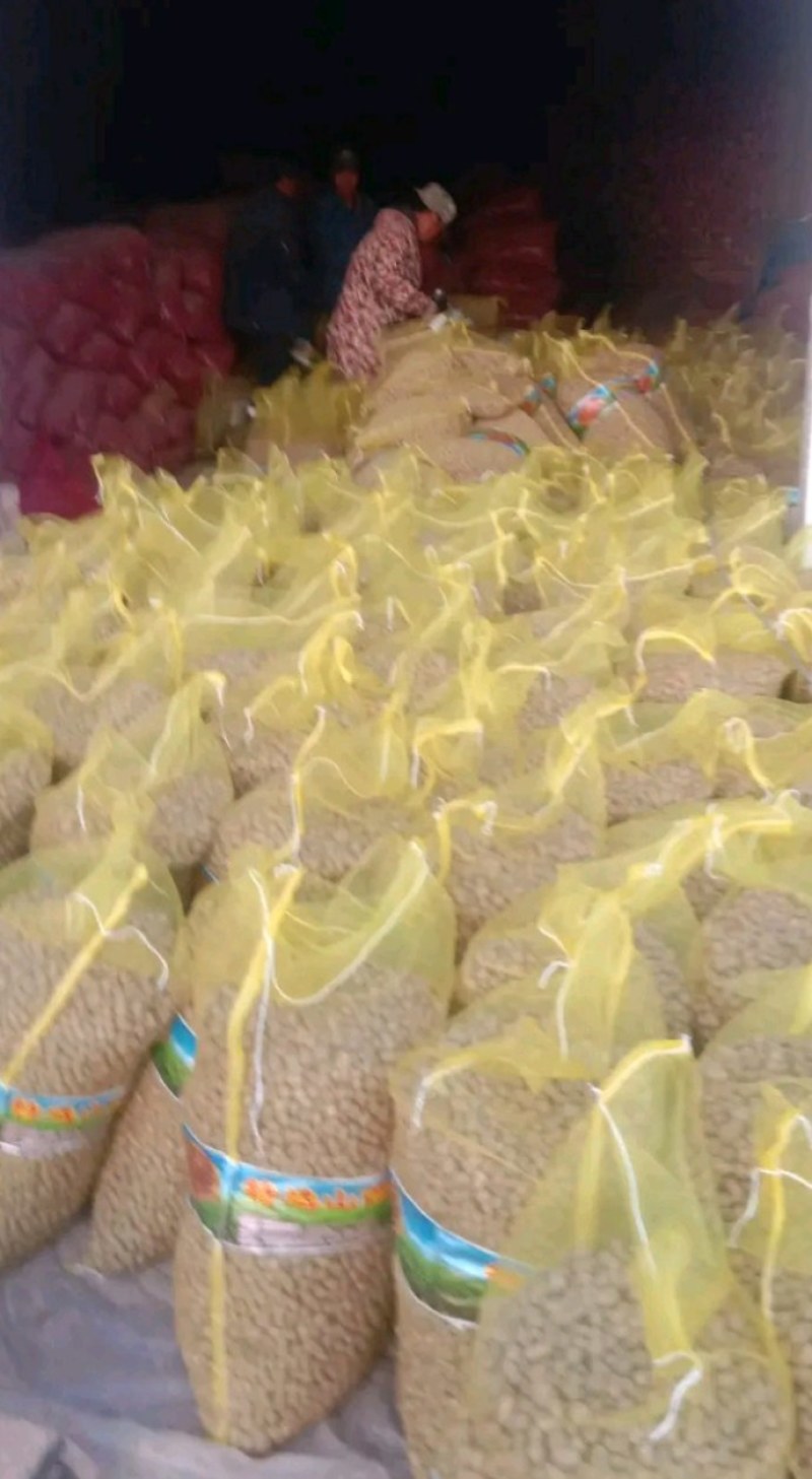 大名精选山药豆大量上市