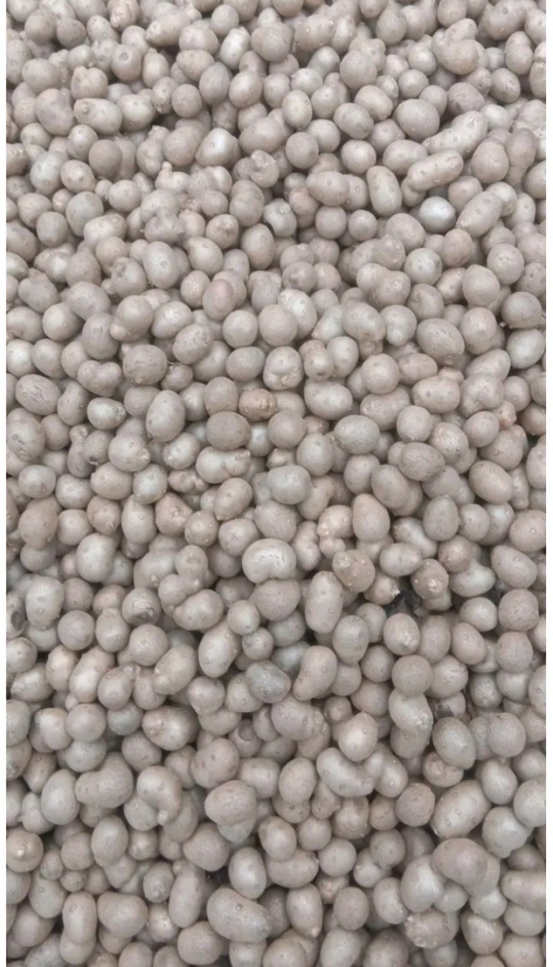 大名精选山药豆大量上市