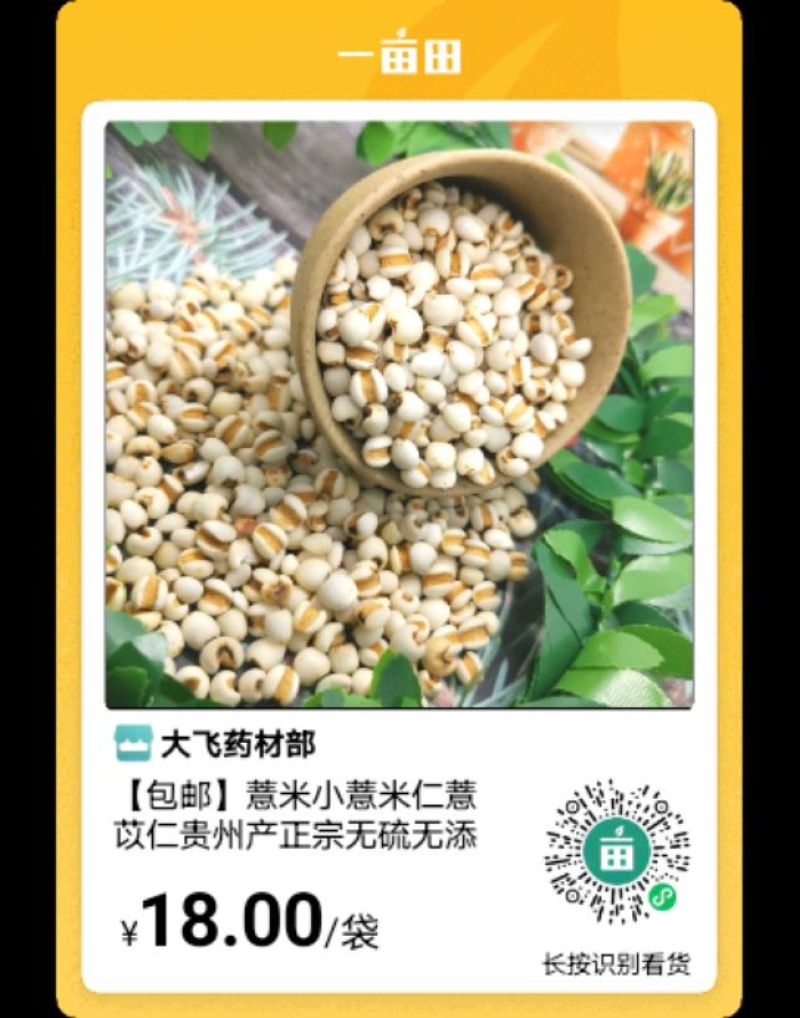 贵州特产医用食材薏仁米