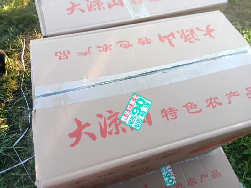 四川凉山盐源县冰糖心丑苹果，现在大量上市。有需要的联系我