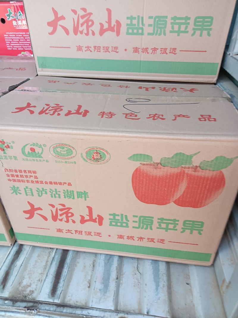 四川凉山盐源县冰糖心丑苹果，现在大量上市。有需要的联系我