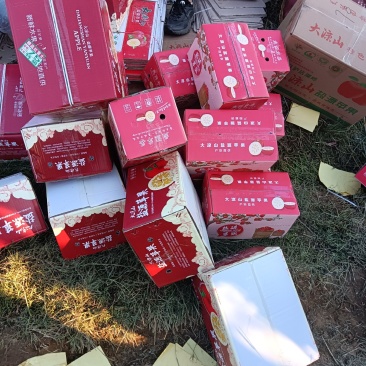 四川凉山盐源县冰糖心丑苹果，现在大量上市。有需要的联系我