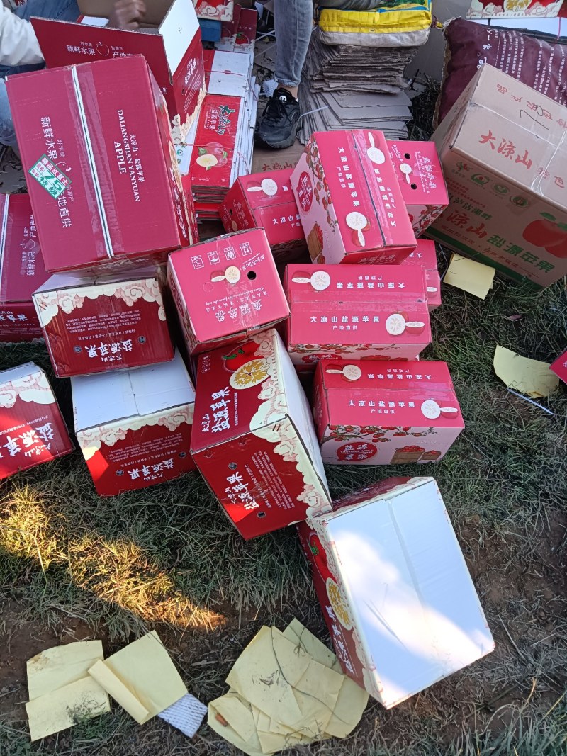 四川凉山盐源县冰糖心丑苹果，现在大量上市。有需要的联系我