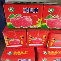 红富士苹果条红