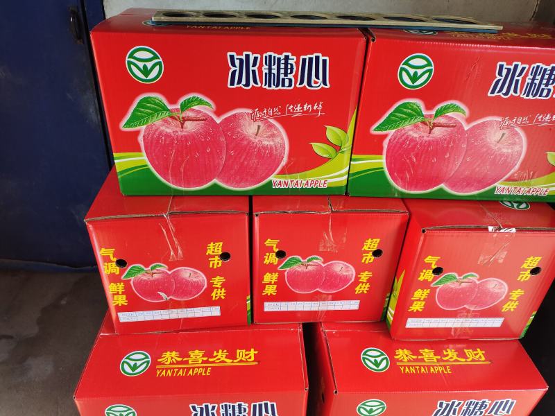 红富士苹果条红