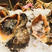 鲜活海螺，连云港当地地笼海螺，规格齐全，饭店，市场
