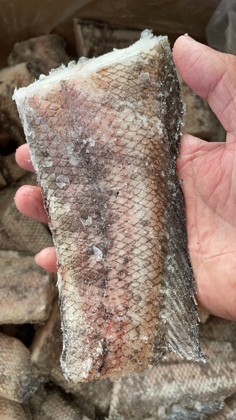 鳕鱼尾鳕鱼段深海鳕鱼尾江苏海鲜水产鳕鱼尾