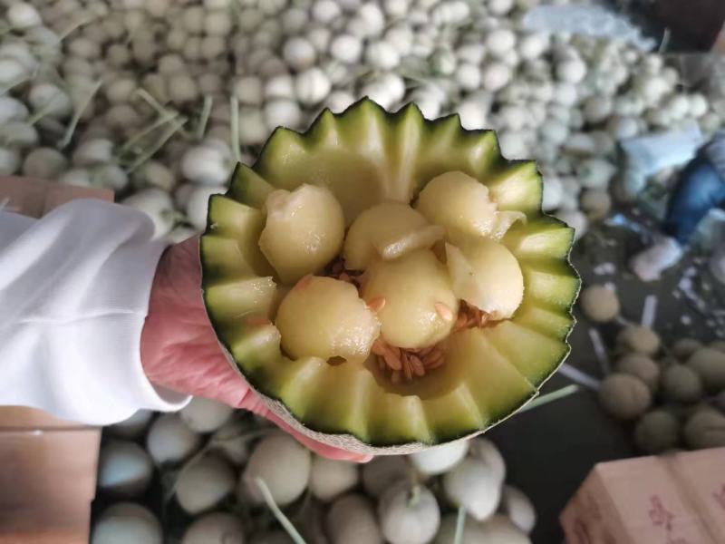 网纹瓜，玲珑瓜，哈密瓜