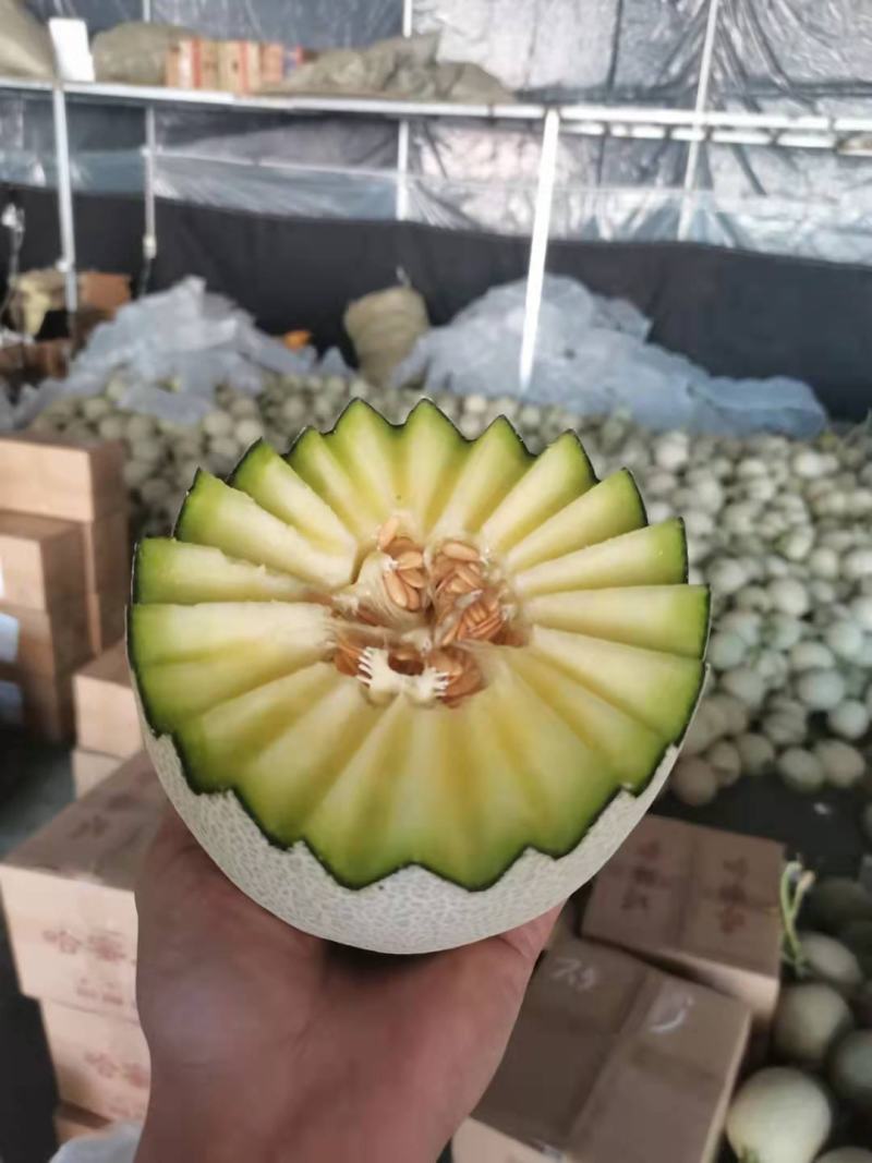 网纹瓜，玲珑瓜，哈密瓜