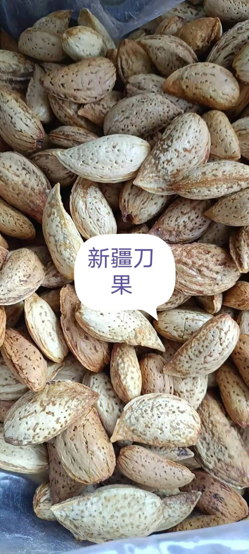 新疆纸皮巴旦木NP龙果刀果三种专业批发一件代发