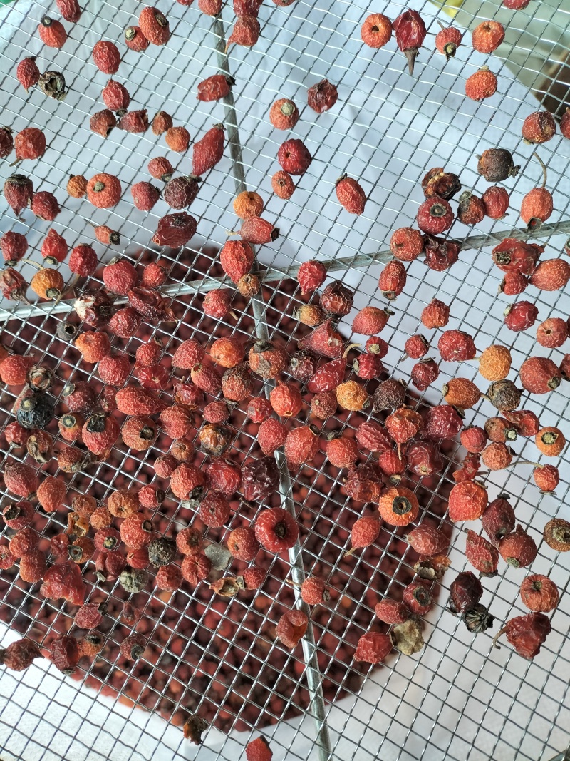 刺玫果