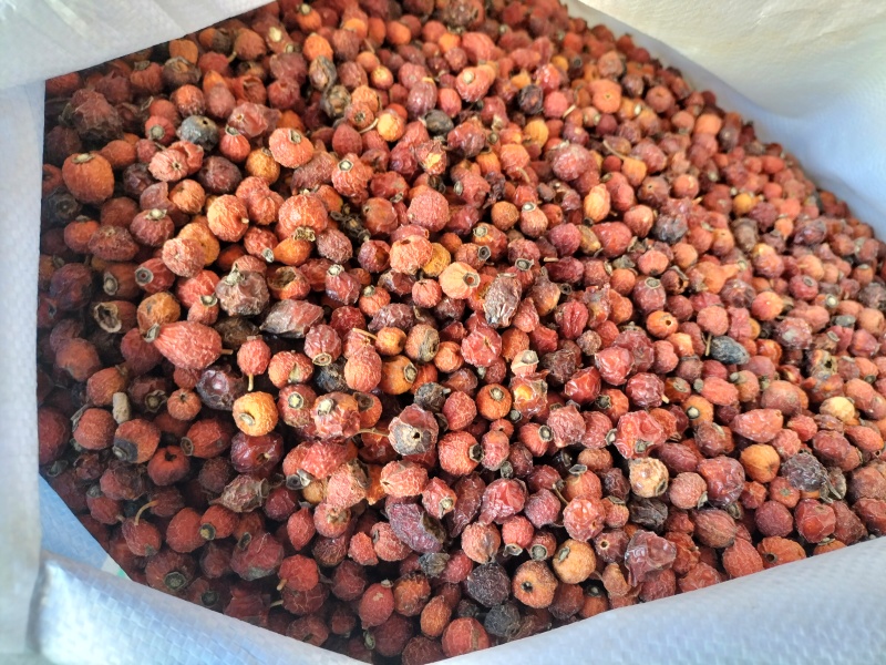 刺玫果