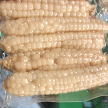 版纳香糯拇指小玉米