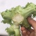 娃娃菜儿菜上市了