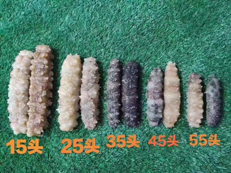 海参黄玉参黄肉参白玉参黄玉海参干货酒店专用海参滋补佳品