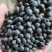 黑豆高蛋白好质量7.0大颗粒精品黑豆