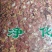花生衣新货花生红皮原色不染色各种冷背药材
