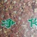 花生衣新货花生红皮原色不染色各种冷背药材