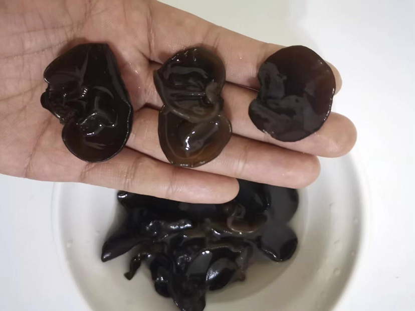白背毛木耳凉拌做法 - 食材展示图
