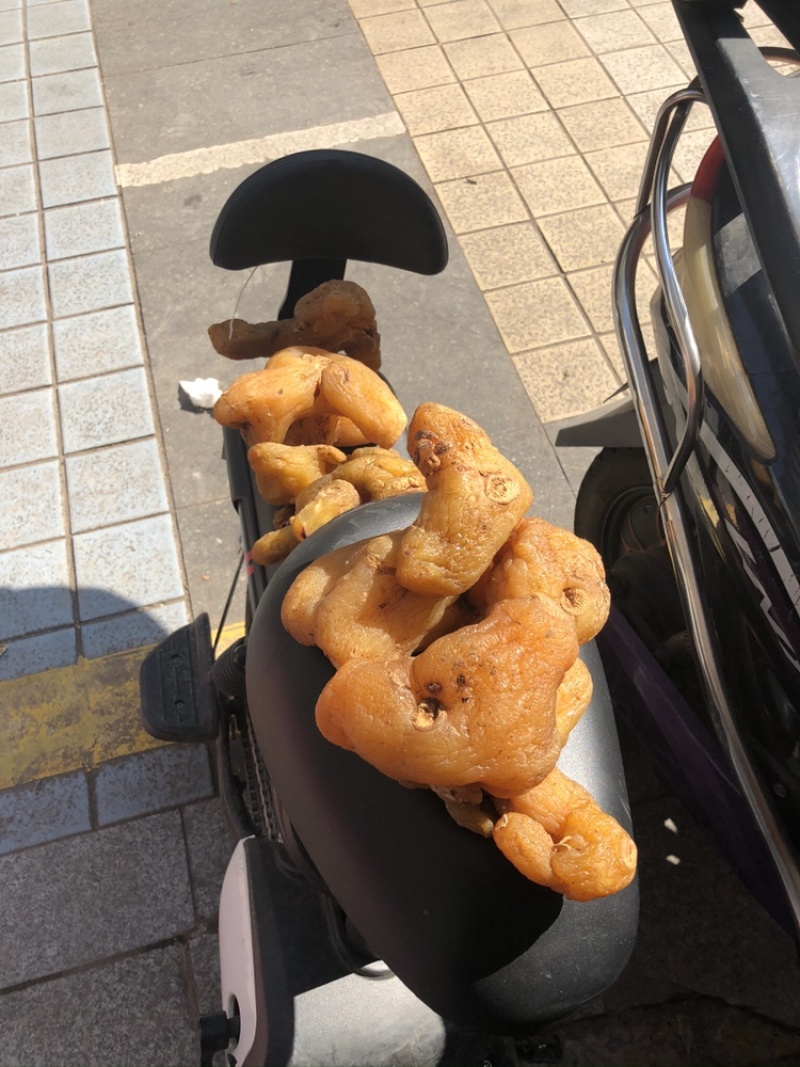鸡头黄精大量上市产地直销质量上乘量大价优货量充足