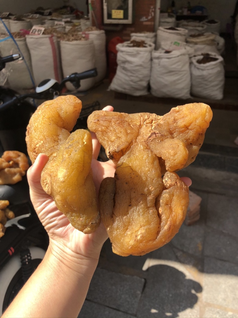 鸡头黄精大量上市产地直销质量上乘量大价优货量充足