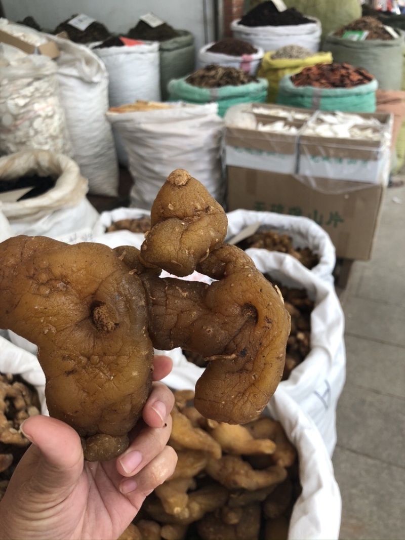 鸡头黄精大量上市产地直销质量上乘量大价优货量充足