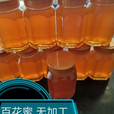 百花蜜蜂场直销无加工原蜜假一赔百批发零售