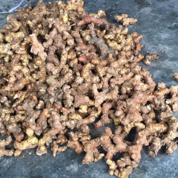 潮汕卤水，咸菜腌制，提味南姜