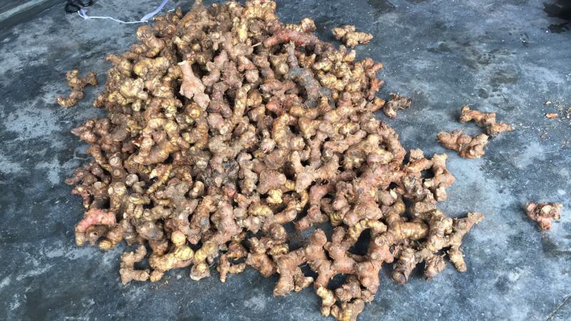 潮汕卤水，咸菜腌制，提味南姜