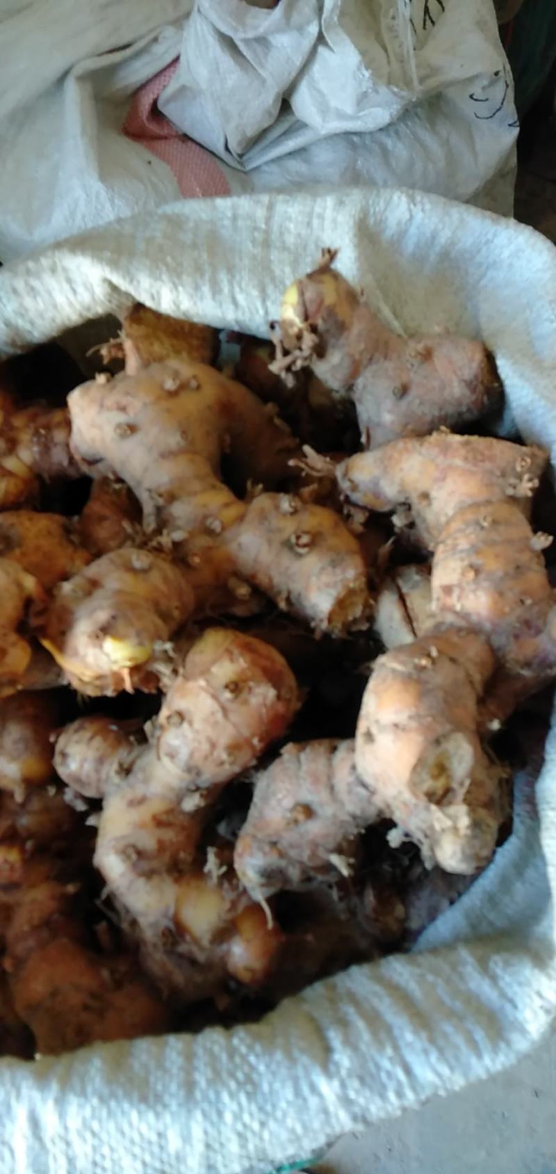 潮汕卤水，咸菜腌制，提味南姜