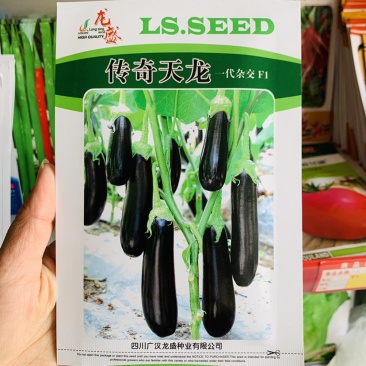 高端绿萼茄子种子四川龙盛传奇天龙一代杂交油黑亮丽茄子种籽