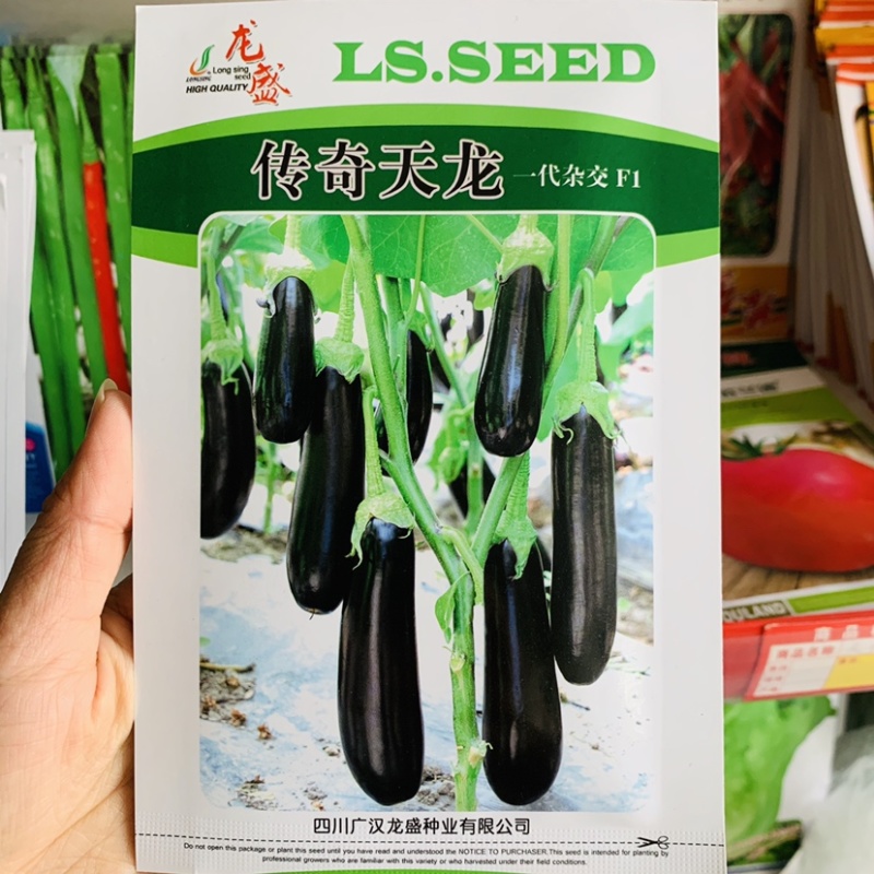 高端绿萼茄子种子四川龙盛传奇天龙一代杂交油黑亮丽茄子种籽